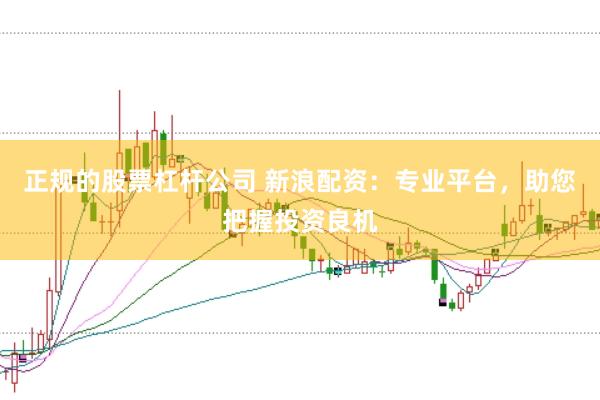 正规的股票杠杆公司 新浪配资：专业平台，助您把握投资良机