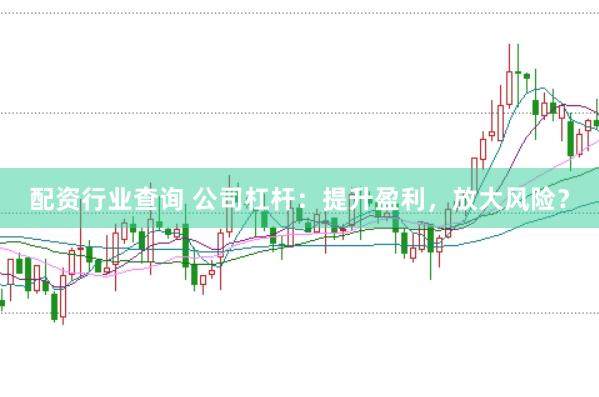 配资行业查询 公司杠杆：提升盈利，放大风险？