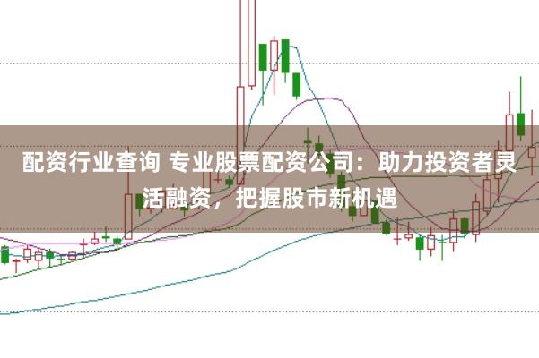 配资行业查询 专业股票配资公司：助力投资者灵活融资，把握股市新机遇