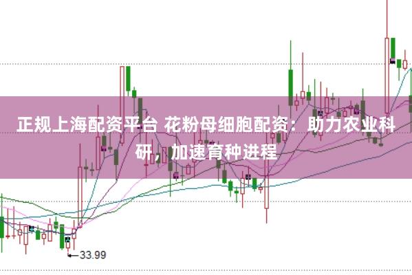 正规上海配资平台 花粉母细胞配资：助力农业科研，加速育种进程