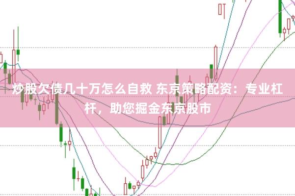 炒股欠债几十万怎么自救 东京策略配资:专业杠杆,助您掘金东京股市