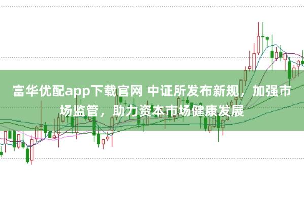 富华优配app下载官网 中证所发布新规,加强市场监管,助力资本市场健康发展