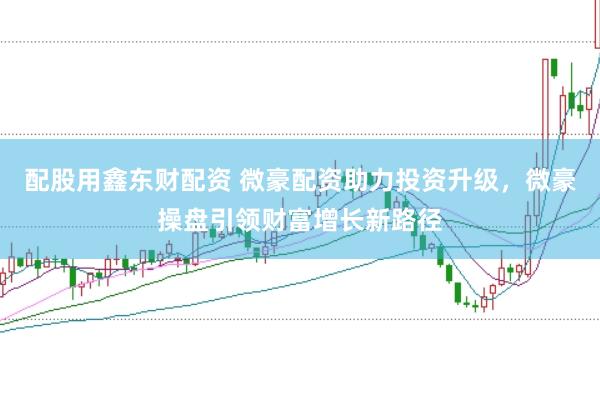 配股用鑫东财配资 微豪配资助力投资升级,微豪操盘引领财富增长新路径
