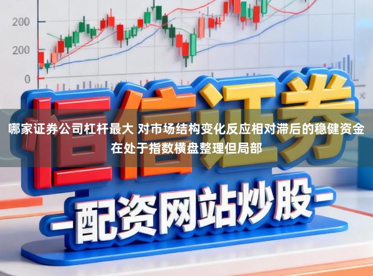 哪家证券公司杠杆最大 对市场结构变化反应相对滞后的稳健资金在处于指数横盘整理但局部