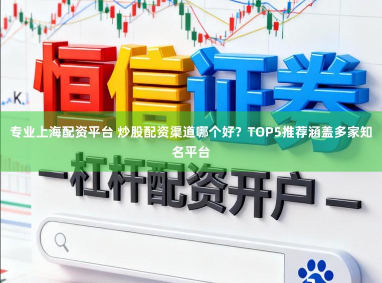 专业上海配资平台 炒股配资渠道哪个好?TOP5推荐涵盖多家知名平台